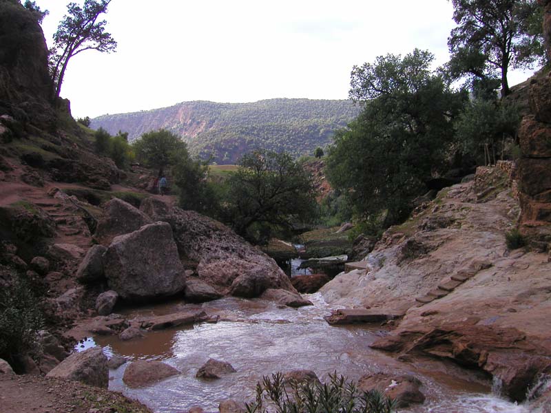 P5050005