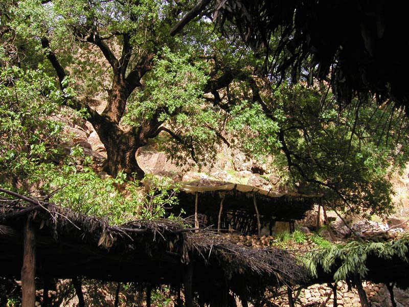 P5050012