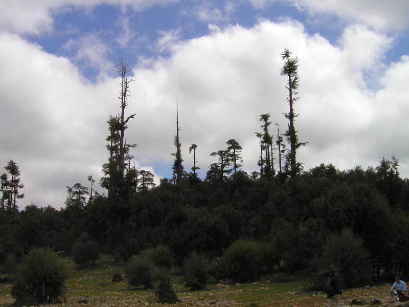 P5050141