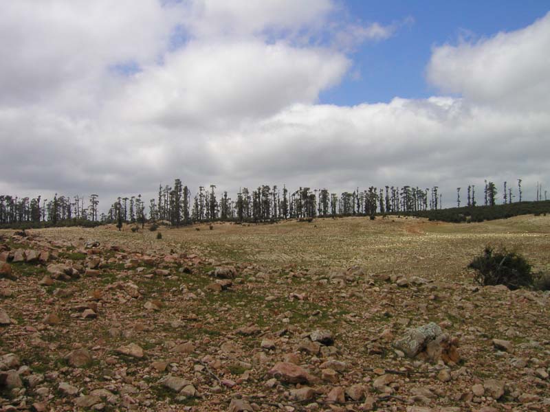 P5050144