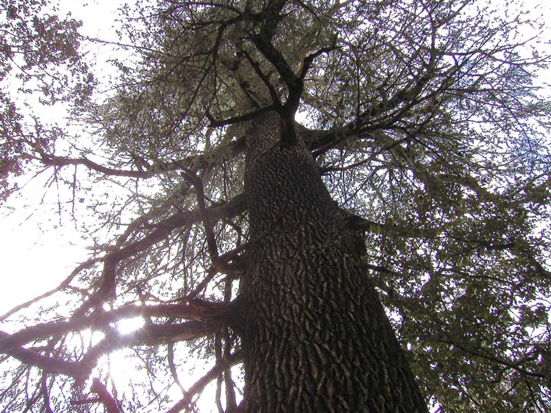 P5050146