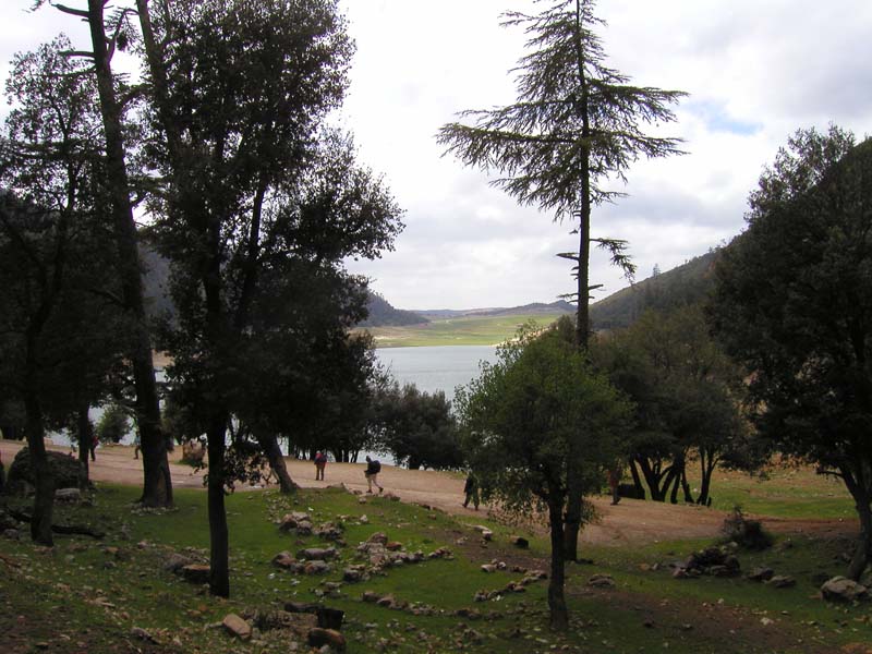 P5050147