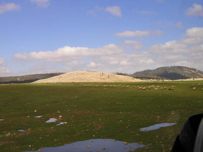 P5050151