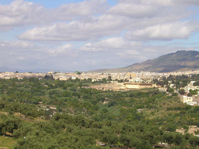 P5060020
