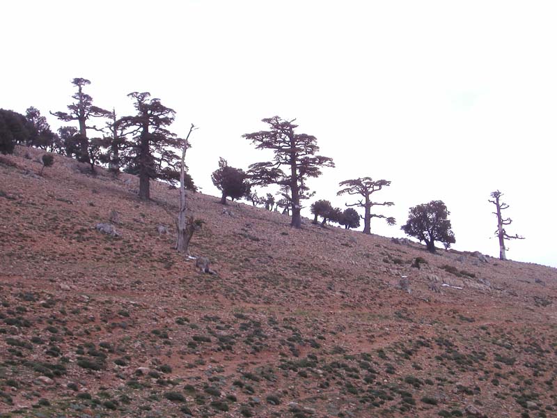 P5070142