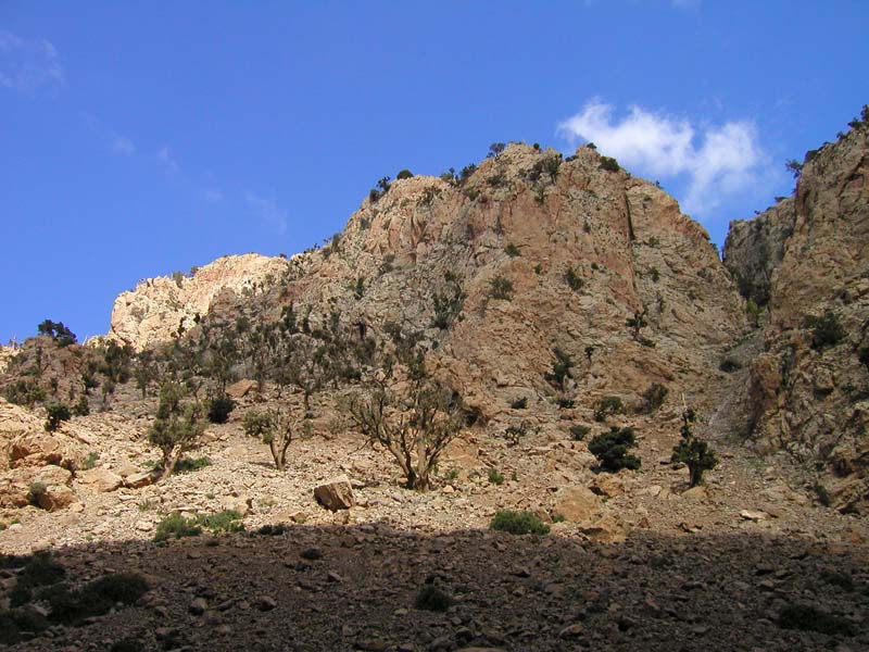 P5080158