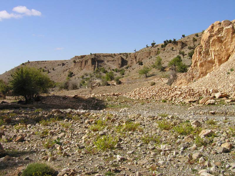 P5080166
