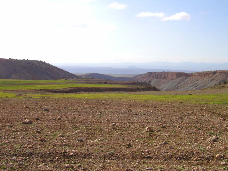 P5080169