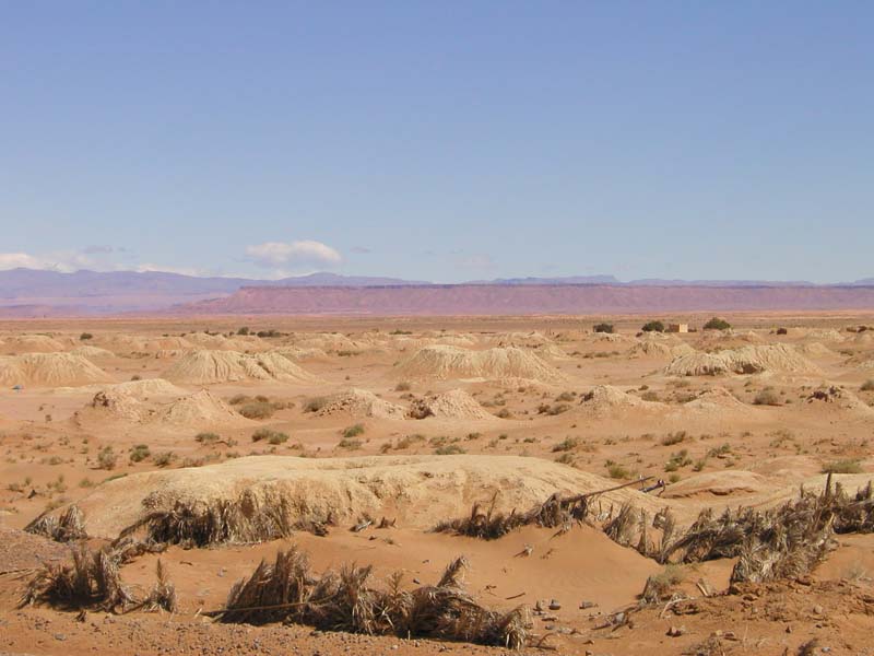 P5110252
