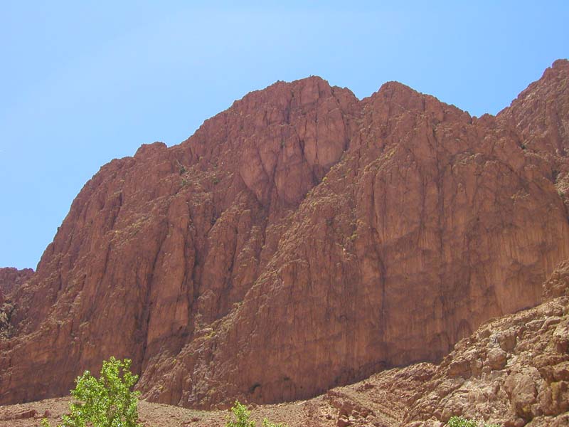 P5110266