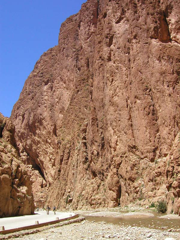 P5110271