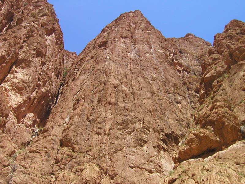 P5110272