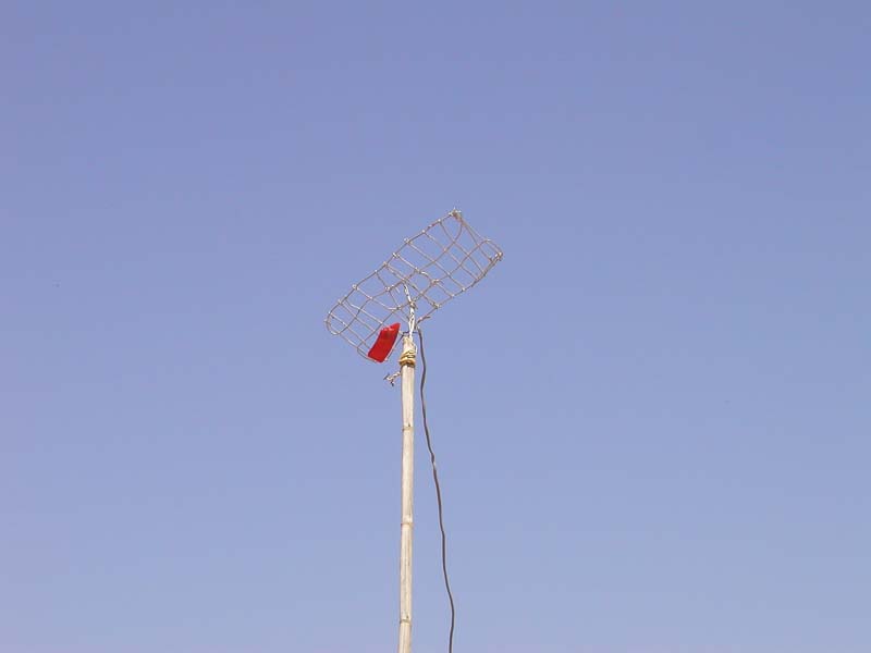 P5150142