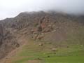 P5130075